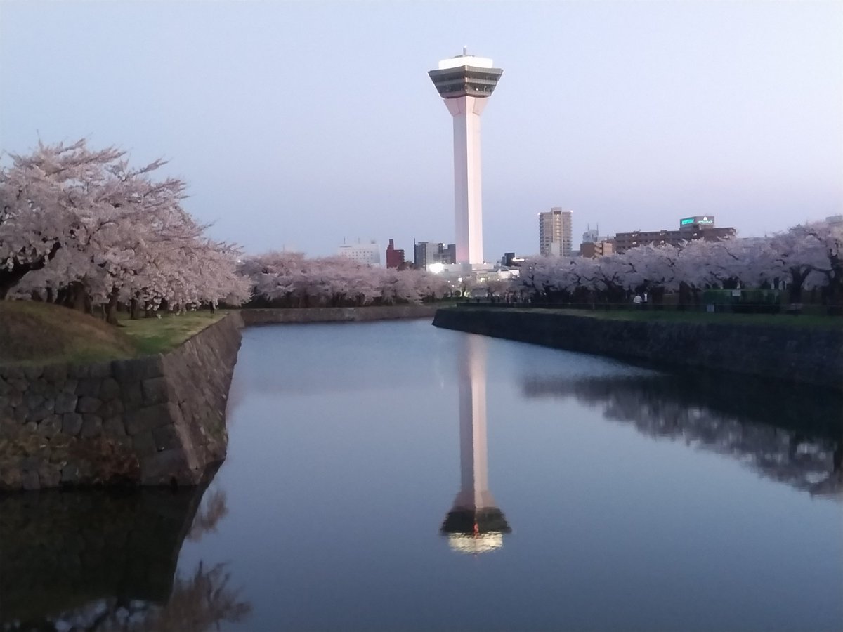 hakodatesiryoku's tweet photo. 【水面に映る五稜郭タワーと満開の桜】
４月２３日（木）、本日も仕事帰りに五稜郭公園を一周しました。
この数日、風が強い日が続いていますが、一時的に無風になり、水面に映る五稜郭タワーと満開の桜を収めることができました。
 
#函館 #函館視力障害センター #五稜郭公園 #五稜郭タワー #桜 https://t.co/ngtG8ldXWO