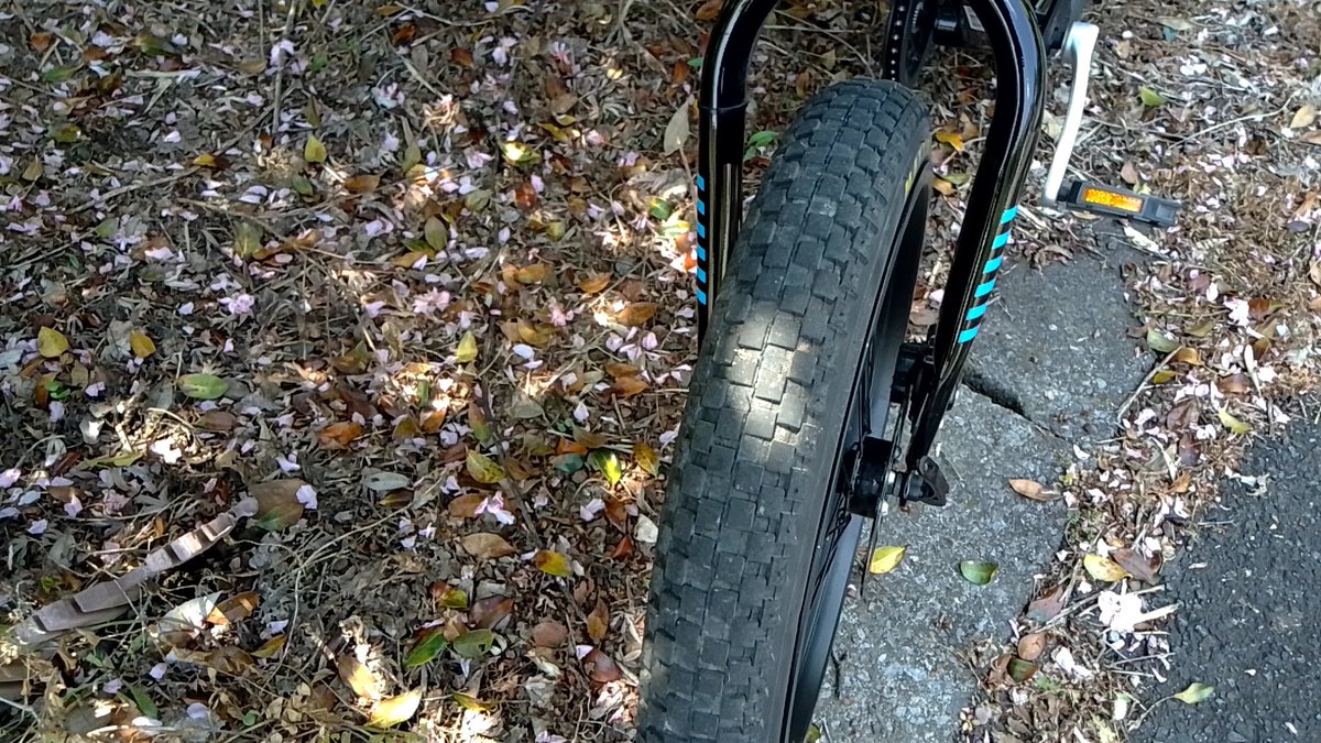 tamantamann's tweet photo. ファットバイクの80mmリムに20x2.2のタイヤを装着したら低扁平になった https://t.co/Ij9kW8Eme4