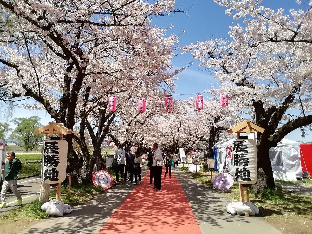 kitakami_kanko's tweet photo. 北上駅観光案内所です。
北上展勝地さくらまつりは昨日で終了いたしました。
たくさんのお客様にご来場いただき、誠にありがとうございました。
まつりの関係者様や地域にお住まいの皆様、ご協力いただきありがとうございました。
来年もさくらまつりへのご来場をお待ちしております。 https://t.co/sQRUtLUUtA