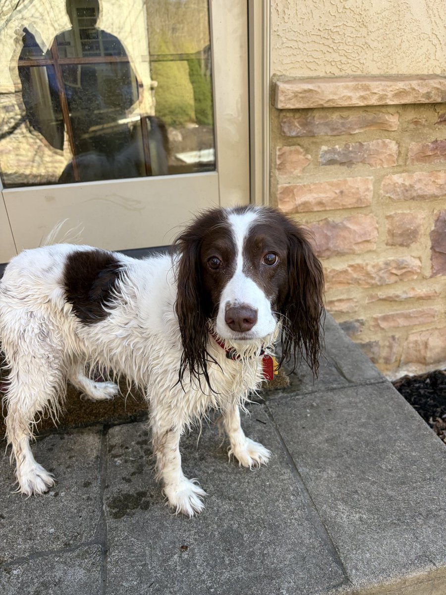 rory💫 tweet media