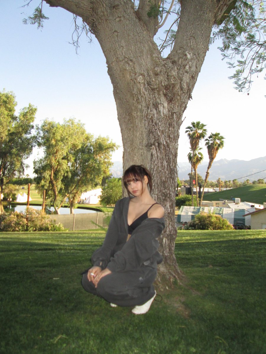 blackpink tweet media