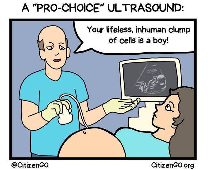 Stop Abortion Now tweet media