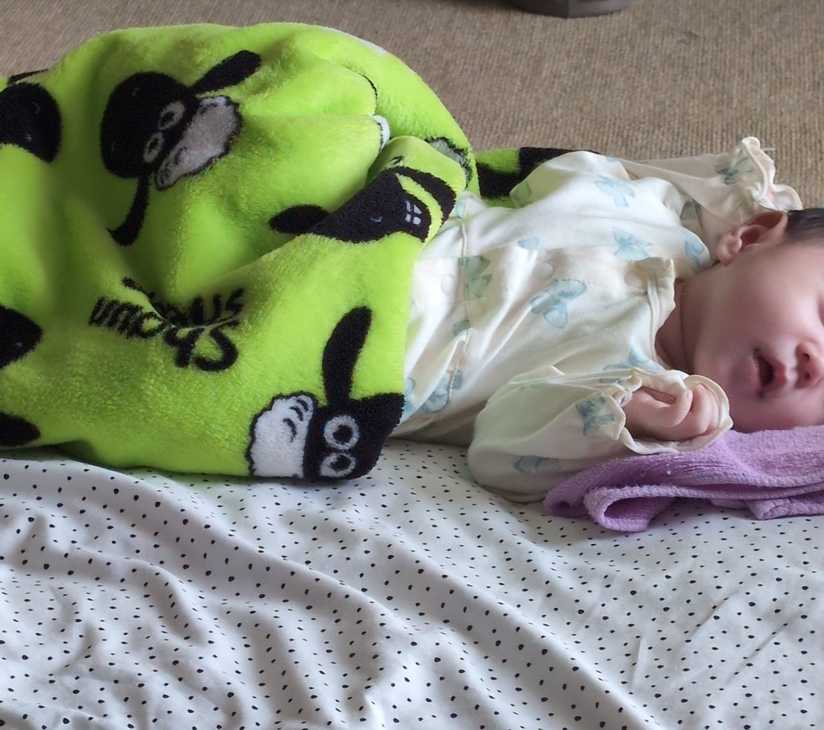 ood_river tweet media