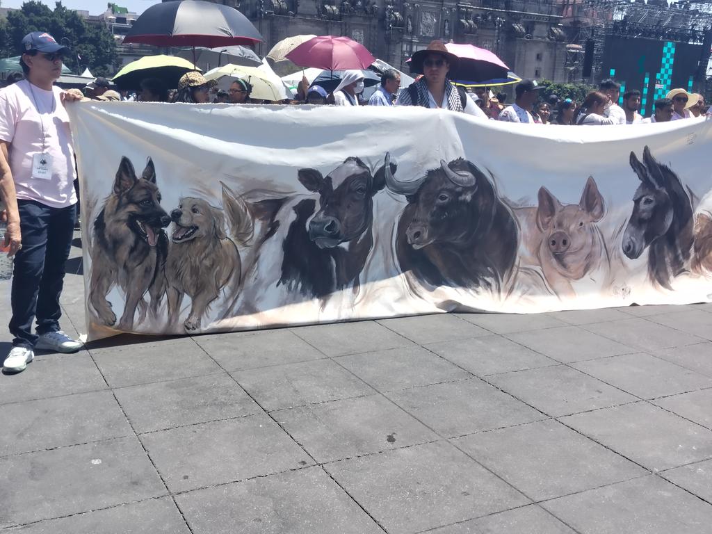 Ang11Coyo's tweet photo. Hoy acompañamos a varios Grupos y asociaciones civiles para exigir la prohibición de las corridas de toros en la ciudad de México y el país.
Agradezco el respaldo y acompañamiento que tuve de algunos vecinos de #Coyoacan
#AngelPerez

@ChuchoSesmaPVEM @talapariente @PartidoVerdeE https://t.co/G7R2bNSeNq