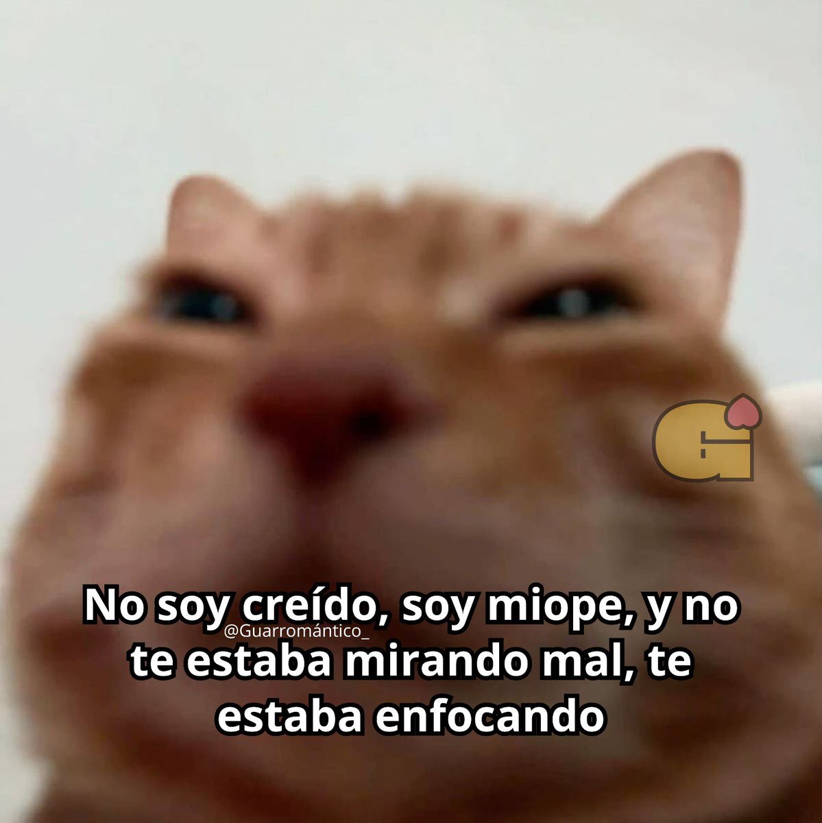El Guarromántico tweet media