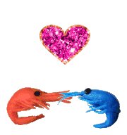 キメラ tweet media