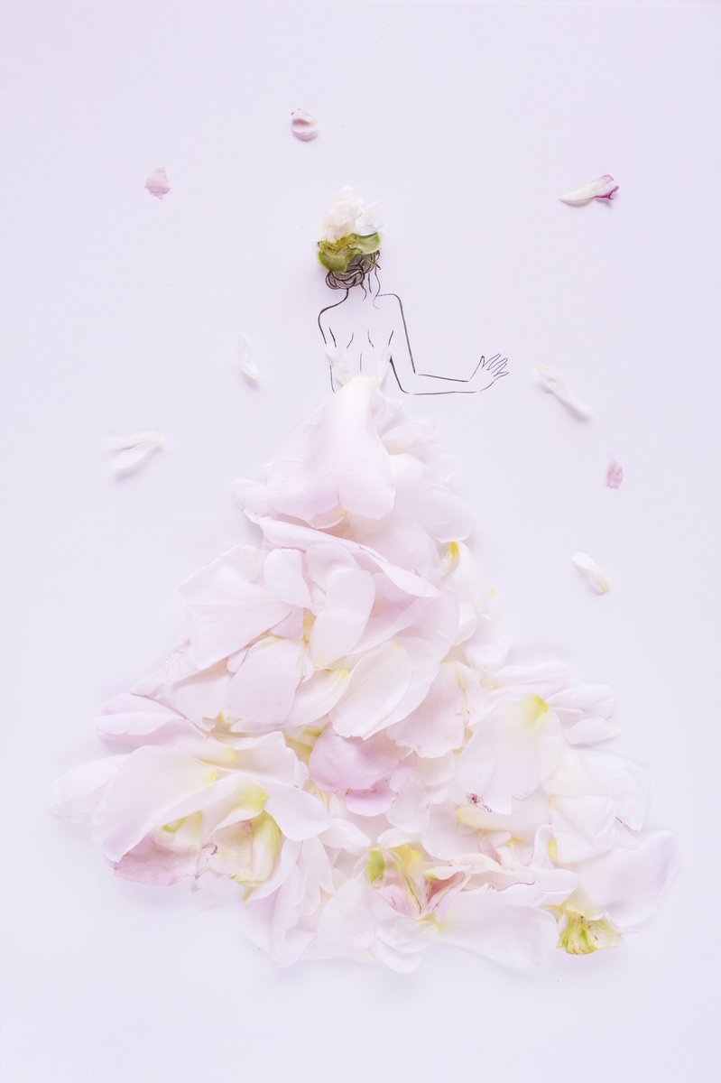 はな言葉🌷葉菜桜花子🌷新刊発売 tweet media