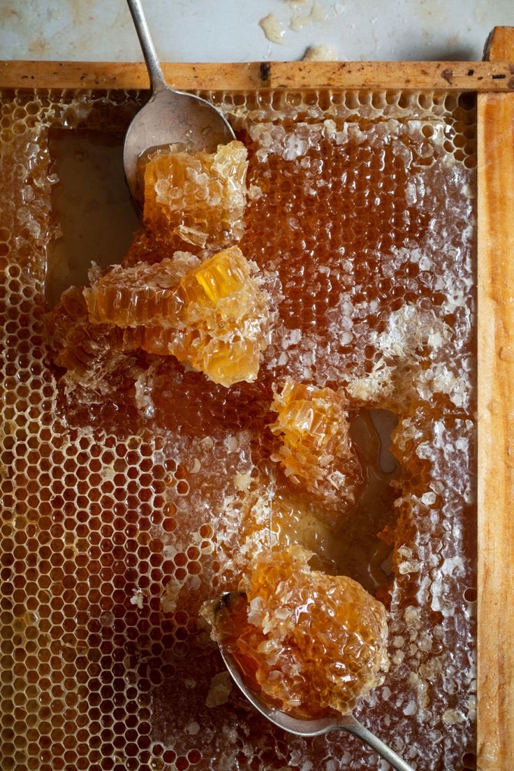 Apple cakes tweet media