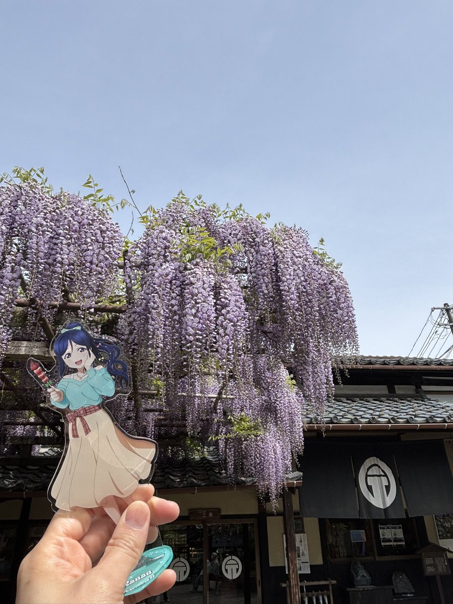 豪農の館 北方文化博物館 tweet media