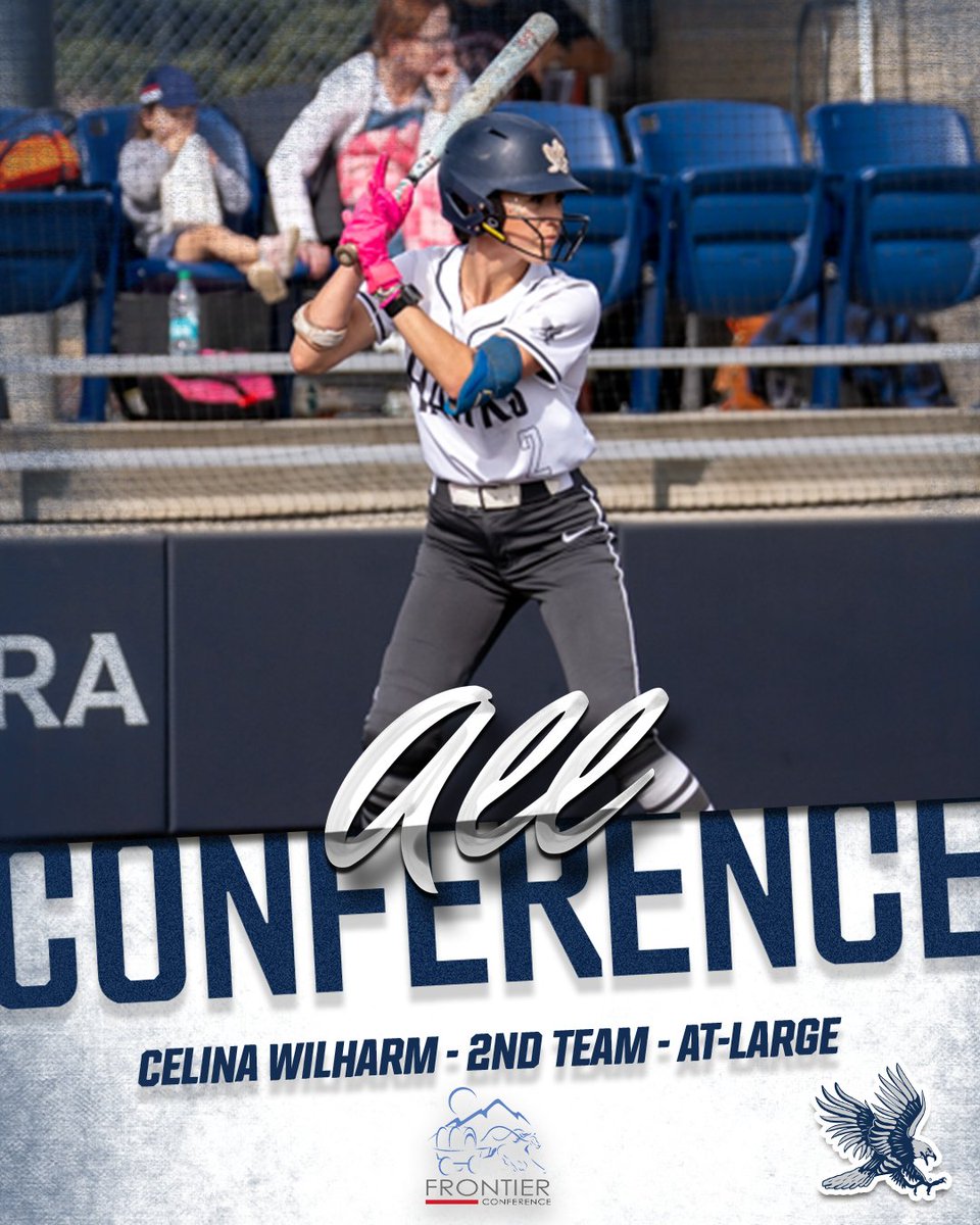 Dickinson State Softball tweet media