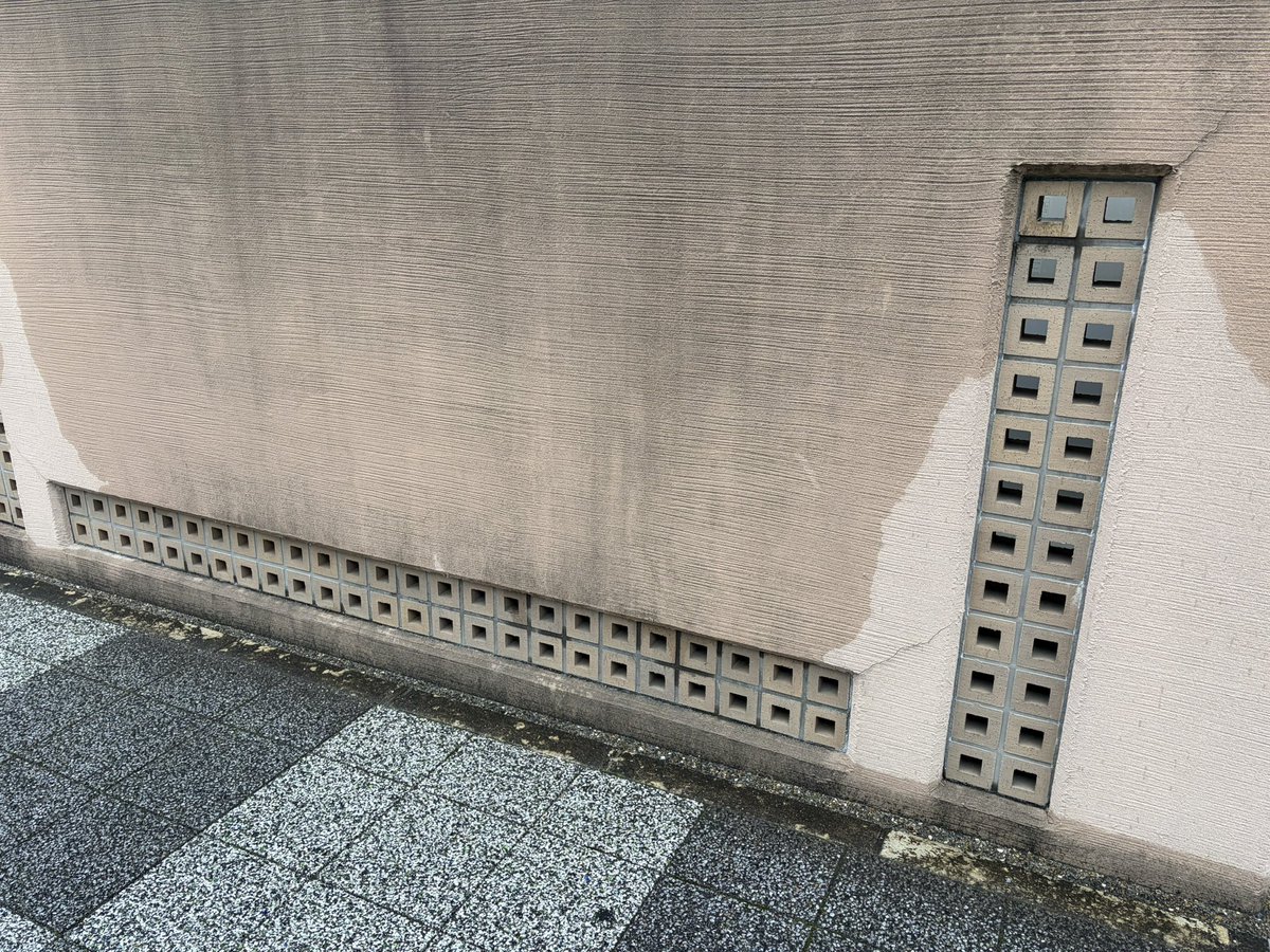 これは野生の2列ピンソケット