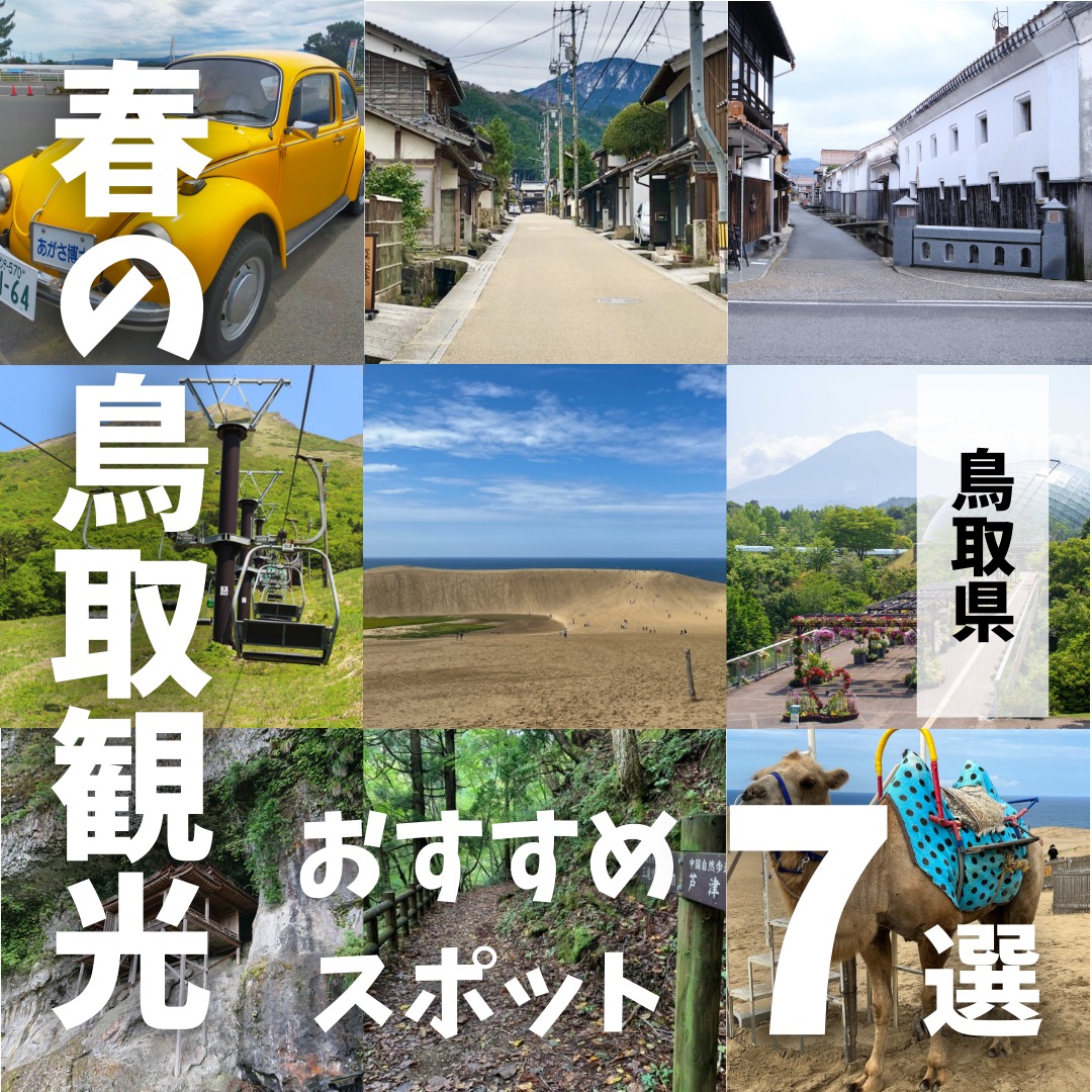 とっとりずむ tweet media