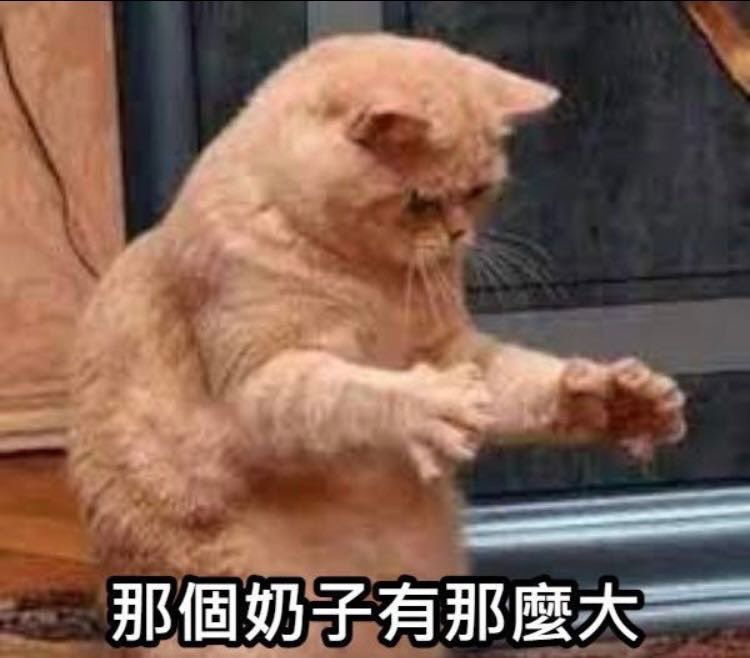 渡人不渡己 tweet media