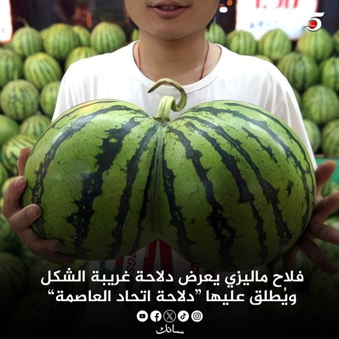 🇲🇦👑 Tsuga 🕵️ ⵜⵙⵓⴳⴰ 🇲🇦👑🌟🌟 tweet media