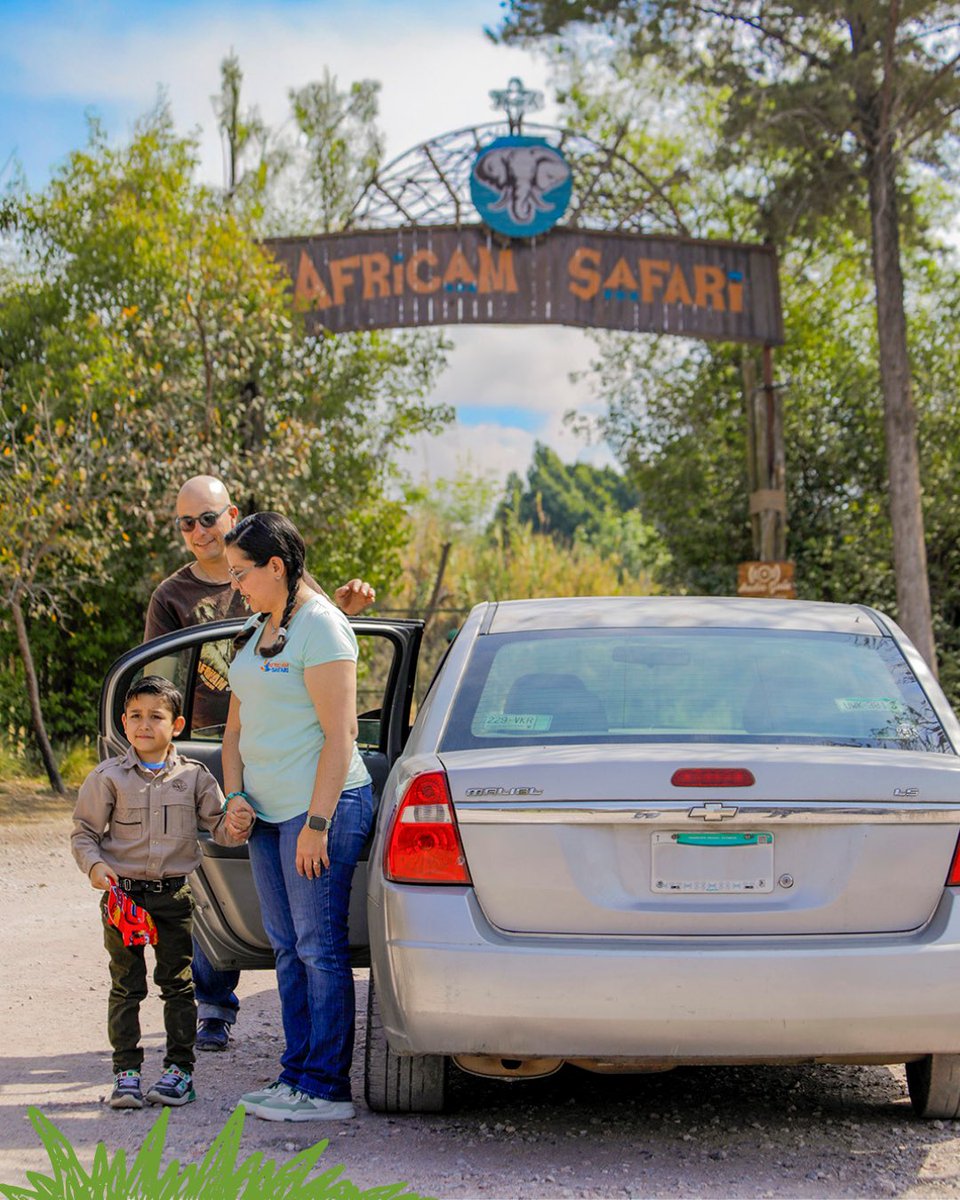 Africam Safari tweet media