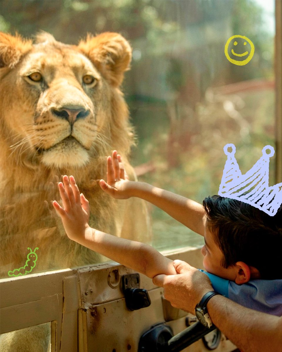 Africam Safari tweet media