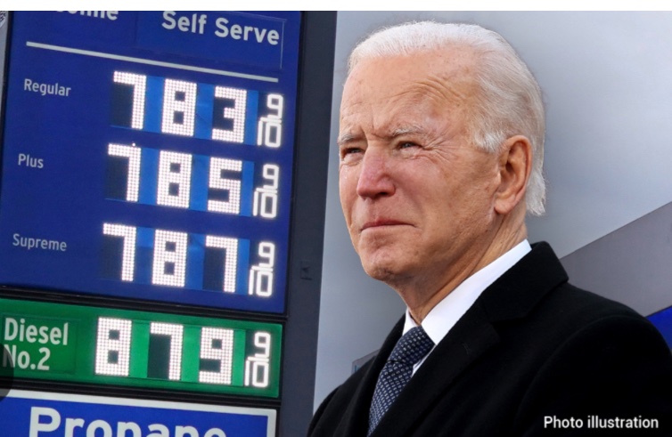 Robert Bass tweet media