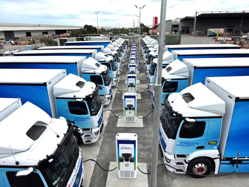 Gavin Shoebridge tweet media