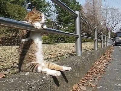 mel 𖹭 | MIXTAPE2ISCOMING tweet media