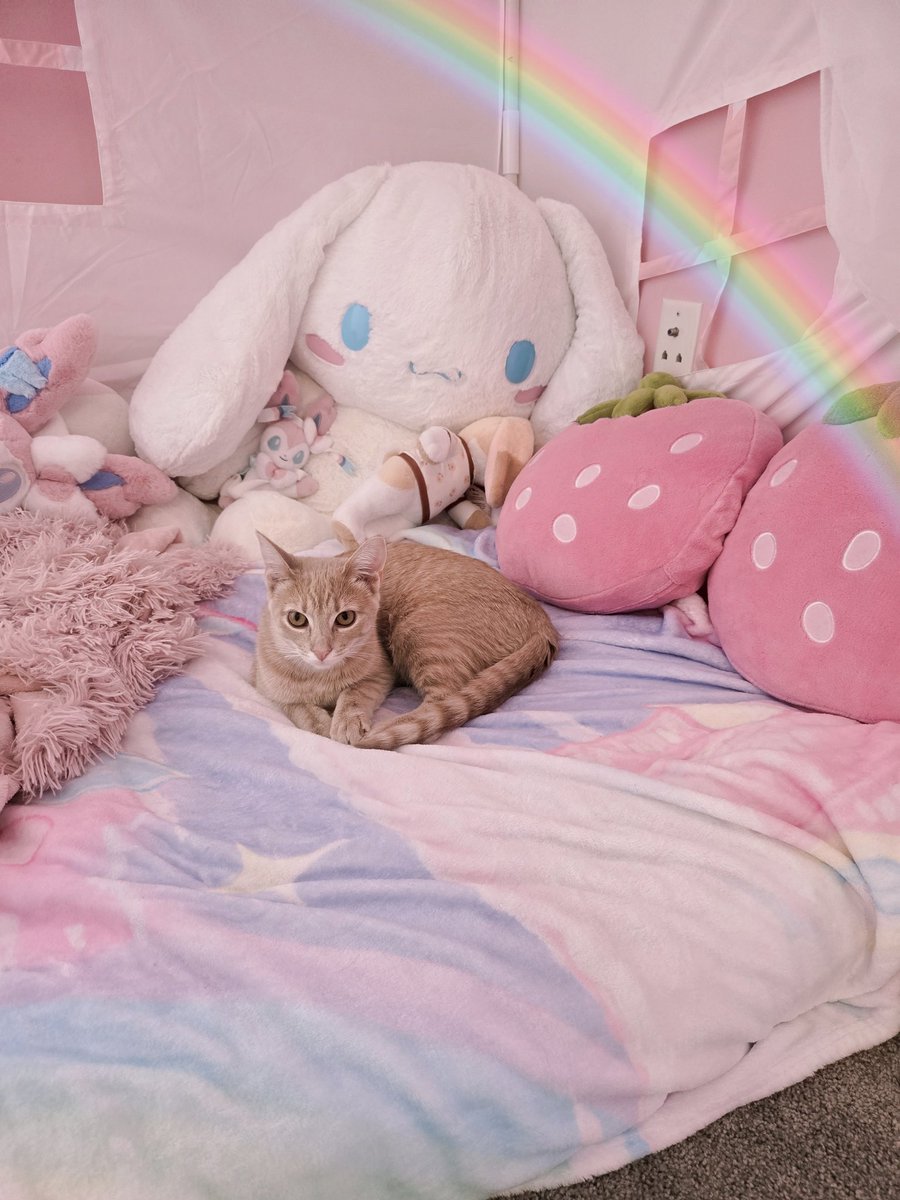 Moon 🌙 FFXIV FAN FEST tweet media