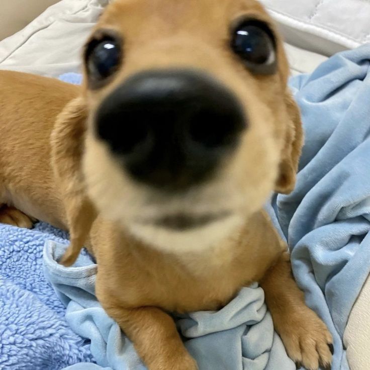 ᡶ𝘩𝘦́σ tweet media