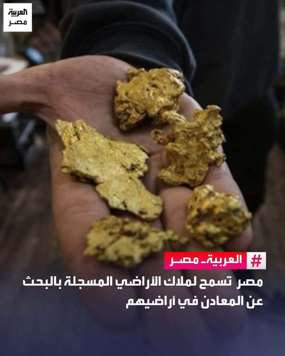 Salwa El Sherbiny🇪🇬 tweet media