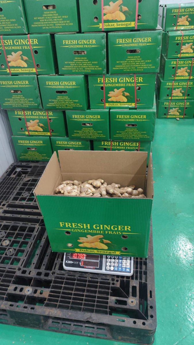 colorfulthuy's tweet photo. Commodity: Fresh Ginger
Origin Vietnam 🇻🇳 
Introduce and offer by GBA Innovative LLC and its partners https://t.co/LR6YjBWQLK