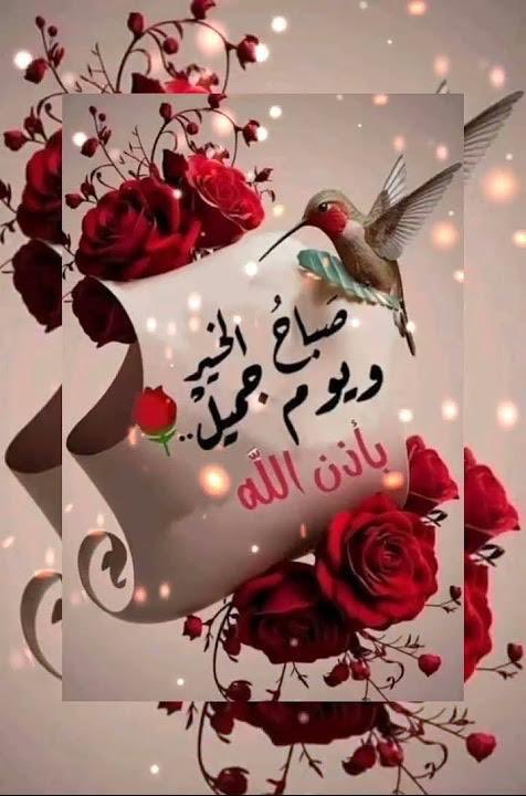 أدهم البلوشي tweet media