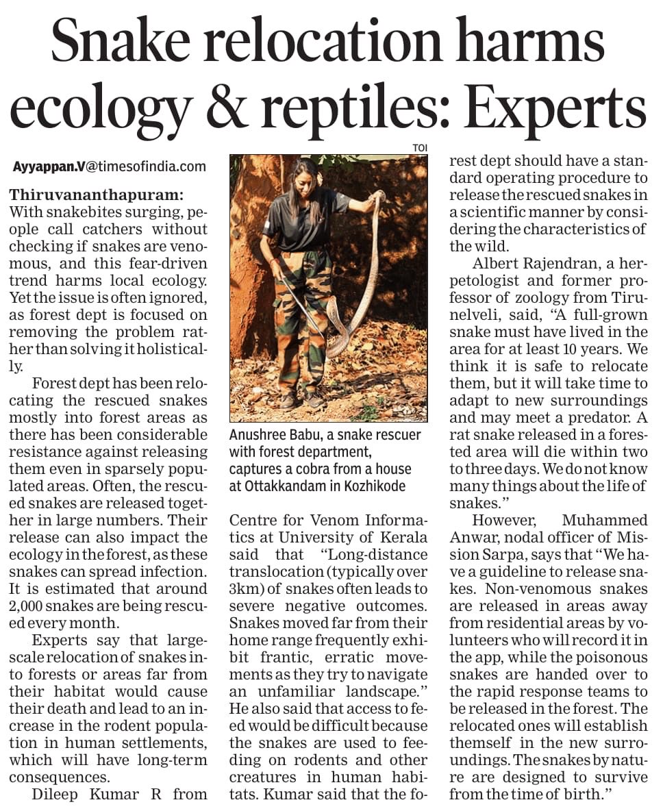 Hulko28's tweet image. Experts warn that relocating rescued snakes far from their natural habitat can disrupt ecosystems, increase stress on reptiles and create long term imbalance in rodent control. Scientific rescue and habitat-based release methods are key to coexistence.  #Wildlife #SnakeRescue