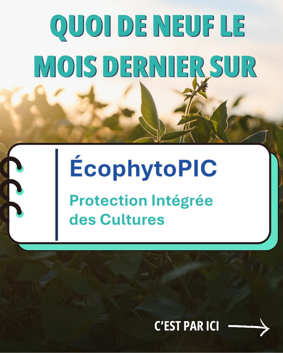 EcophytoPIC tweet media