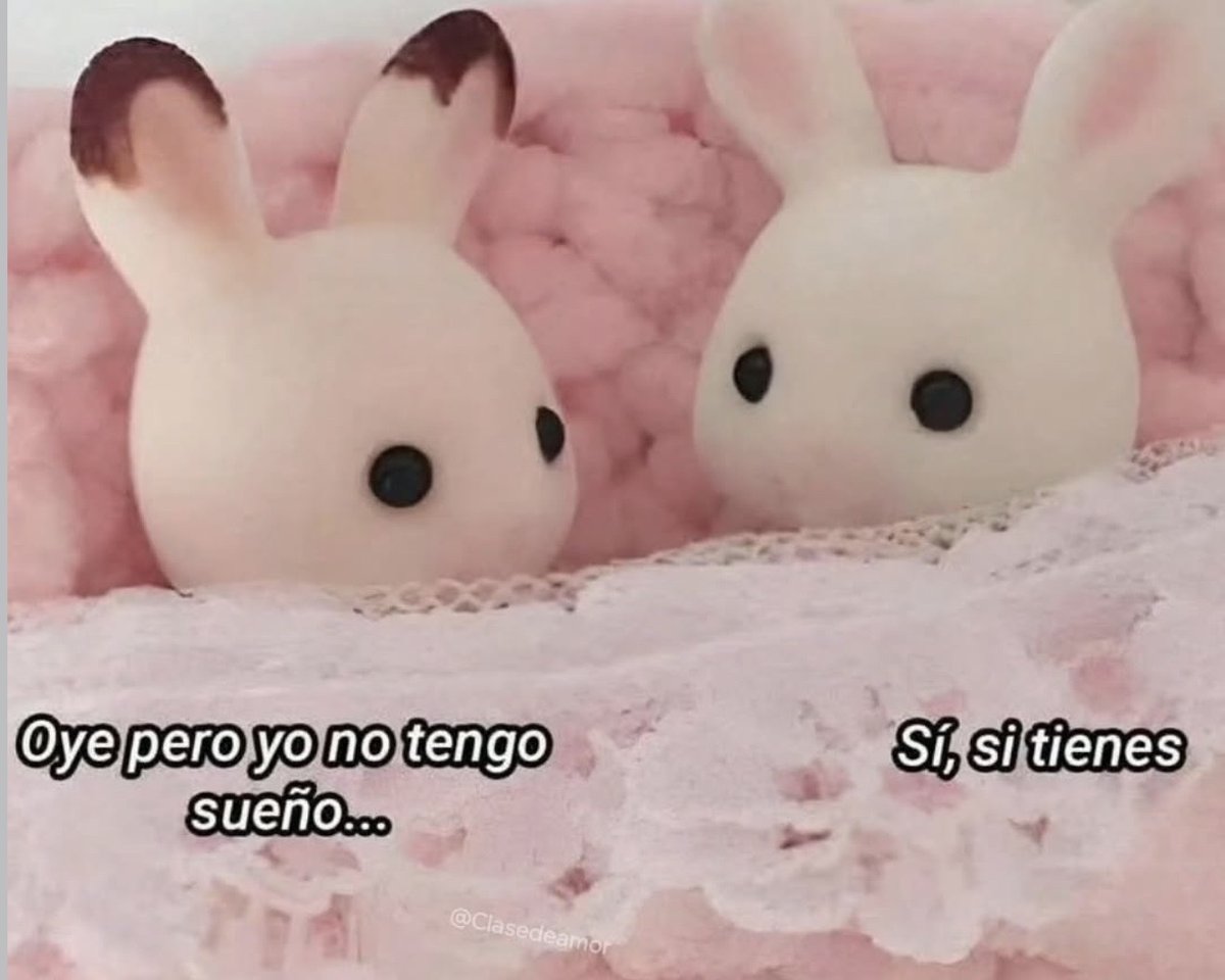 El Guarromántico tweet media