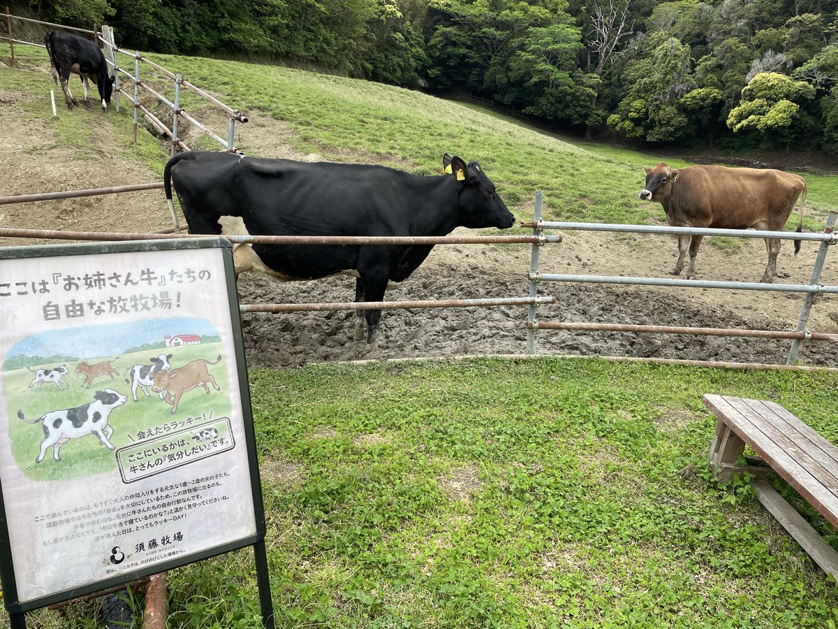 ちゅーだ tweet media