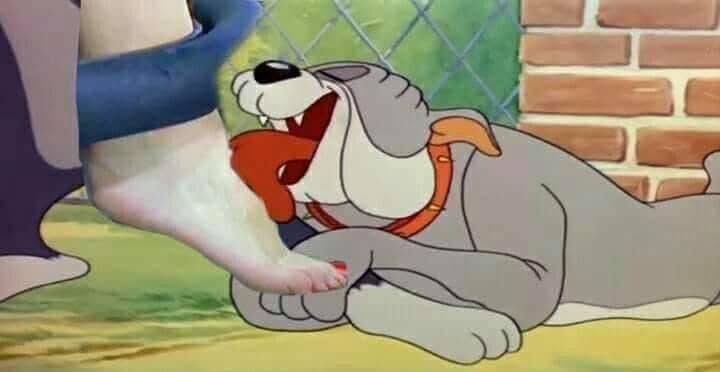 Not Lucifer/مش إِبْلِيسَ tweet media