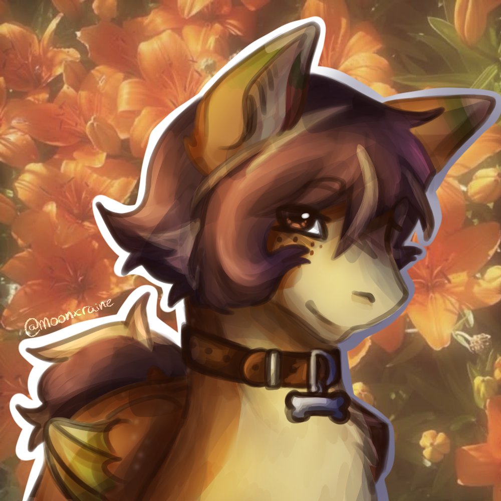 Raine || COMS OPEN tweet media