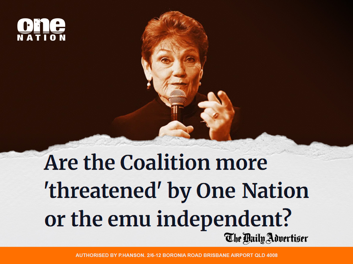 One Nation Australia tweet media