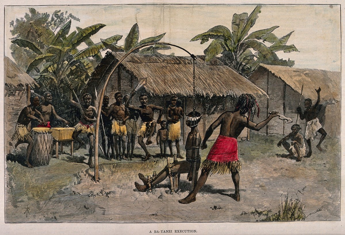 Possum Reviews tweet media