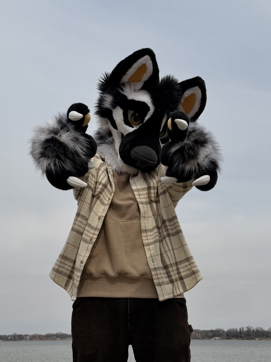 Tilly! 🔜 FWA tweet media