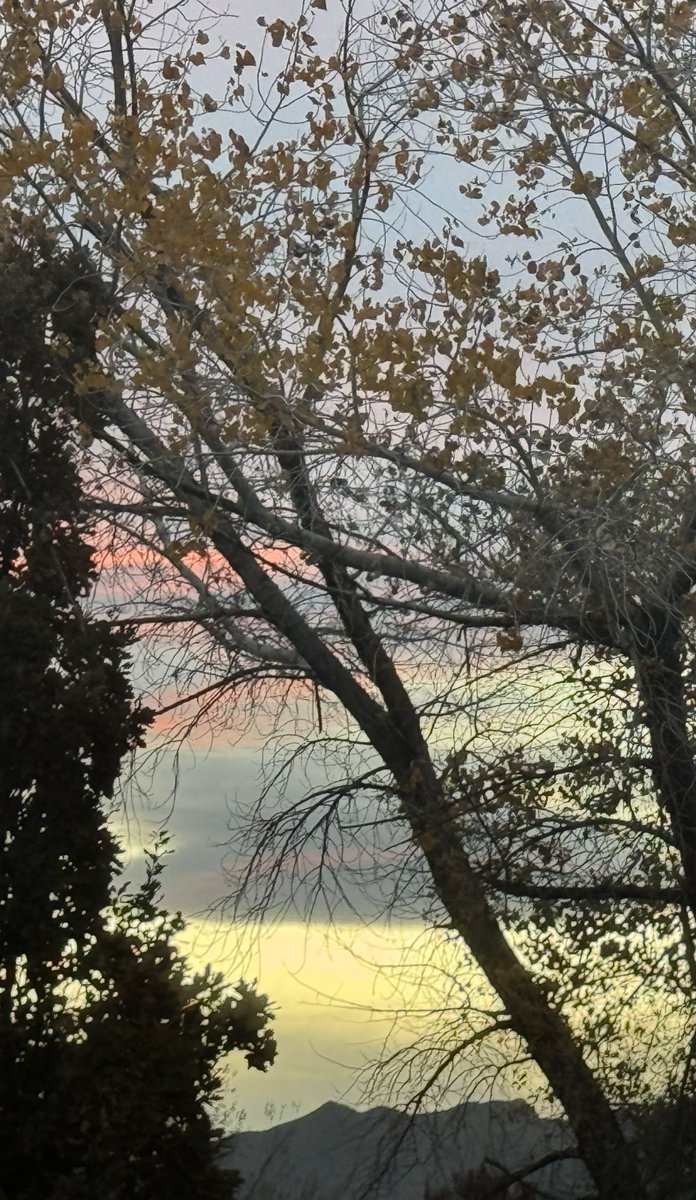 jonimarielew's tweet image. #trees #clouds #subset #desert #Nevada #skies