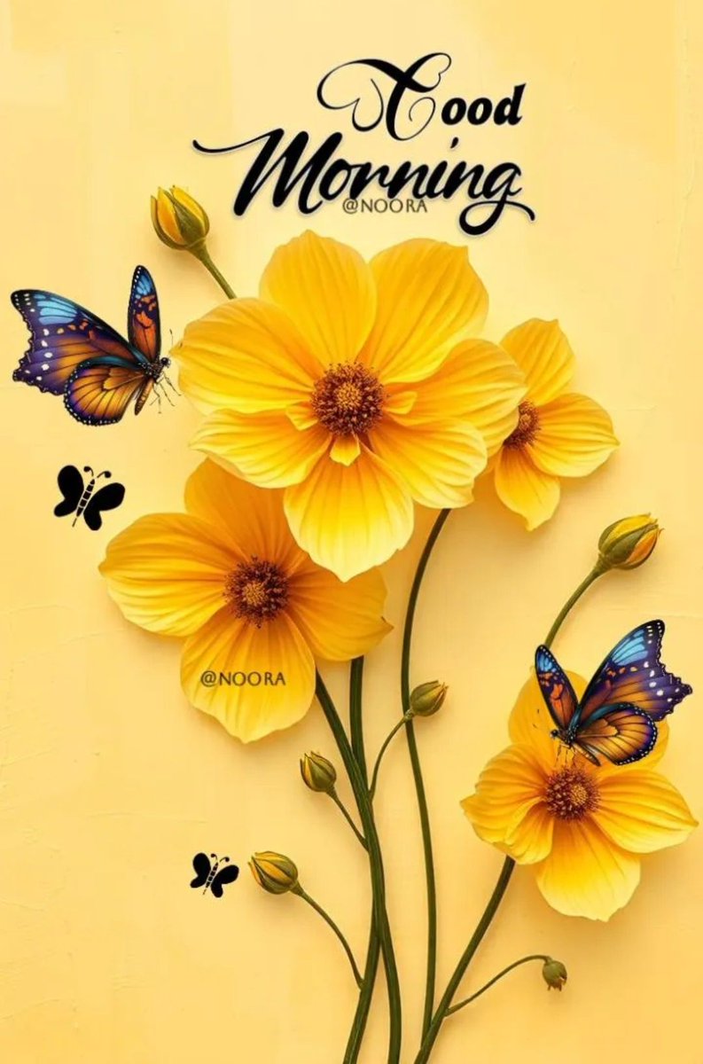 kk_ashokan's tweet photo. @vanitavijji https://t.co/eEYmoofOeN