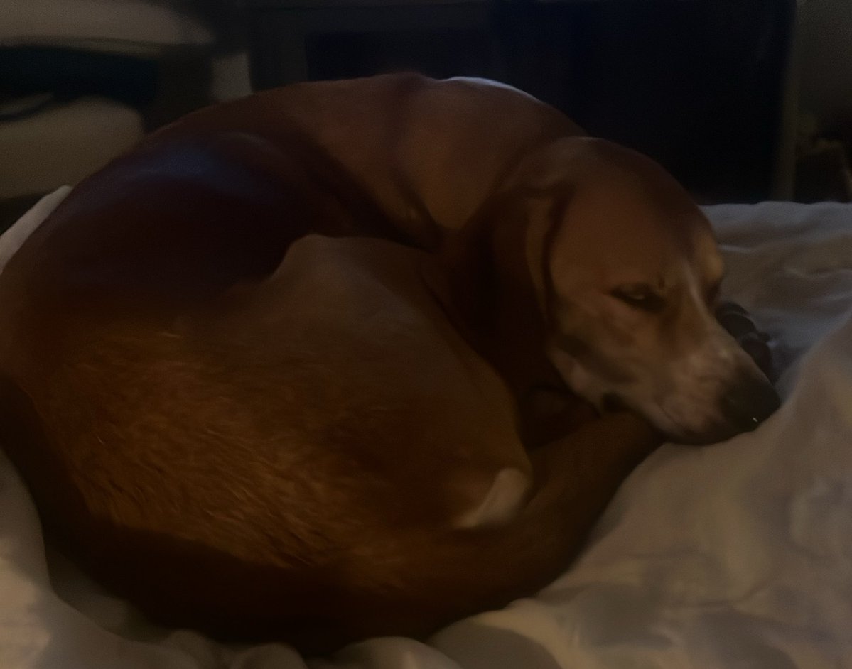 I do judge. tweet media