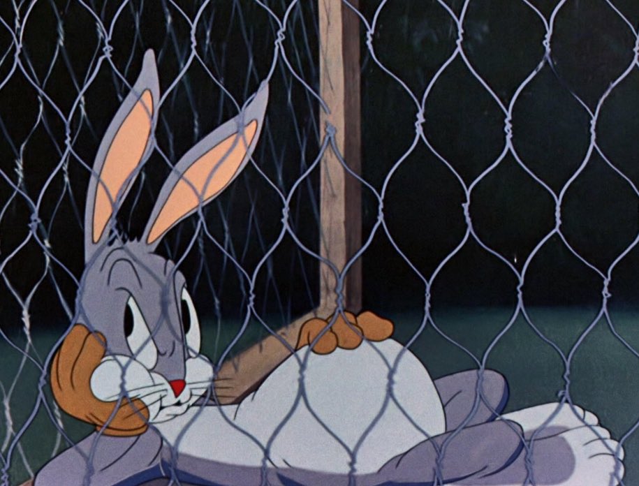Daily Bugs Bunny 🥕 tweet media
