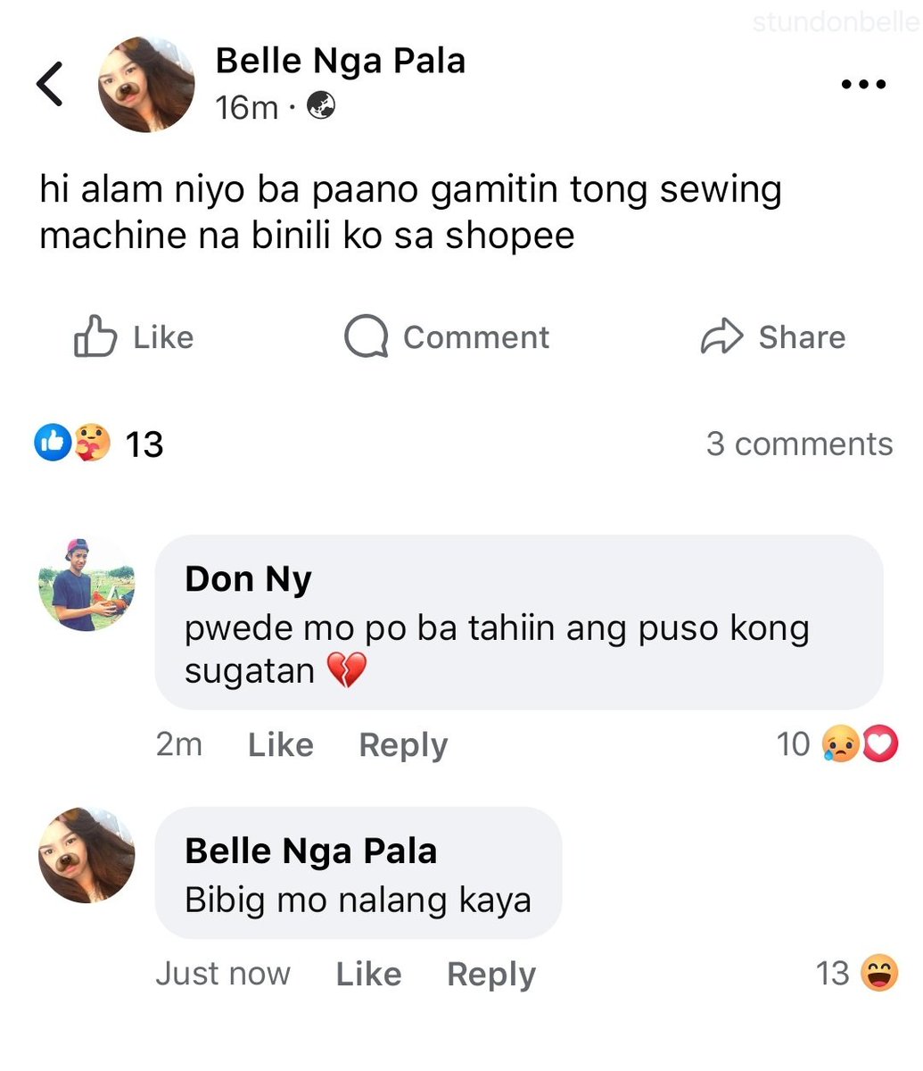 phoebe 🦢 tweet media