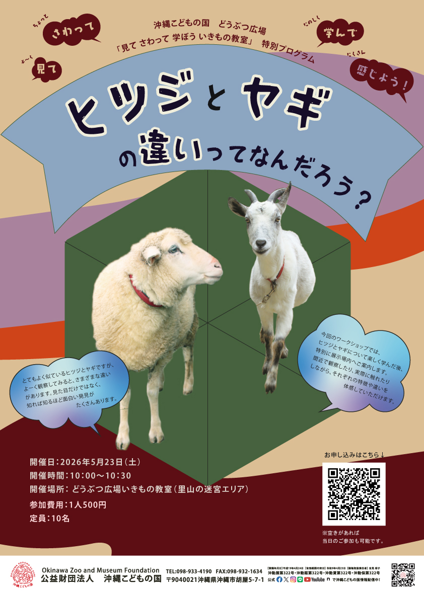 参加者募集中！ 『どうぶつ広場特別ワークショップ「ヒツジとヤギの