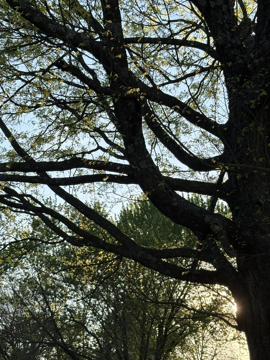 𝐊𝐚𝐲𝐥𝐚🧚🏻 tweet media