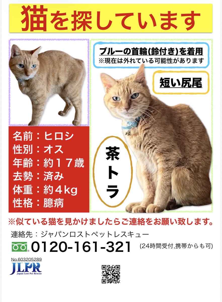 茶トラヒロシ tweet media