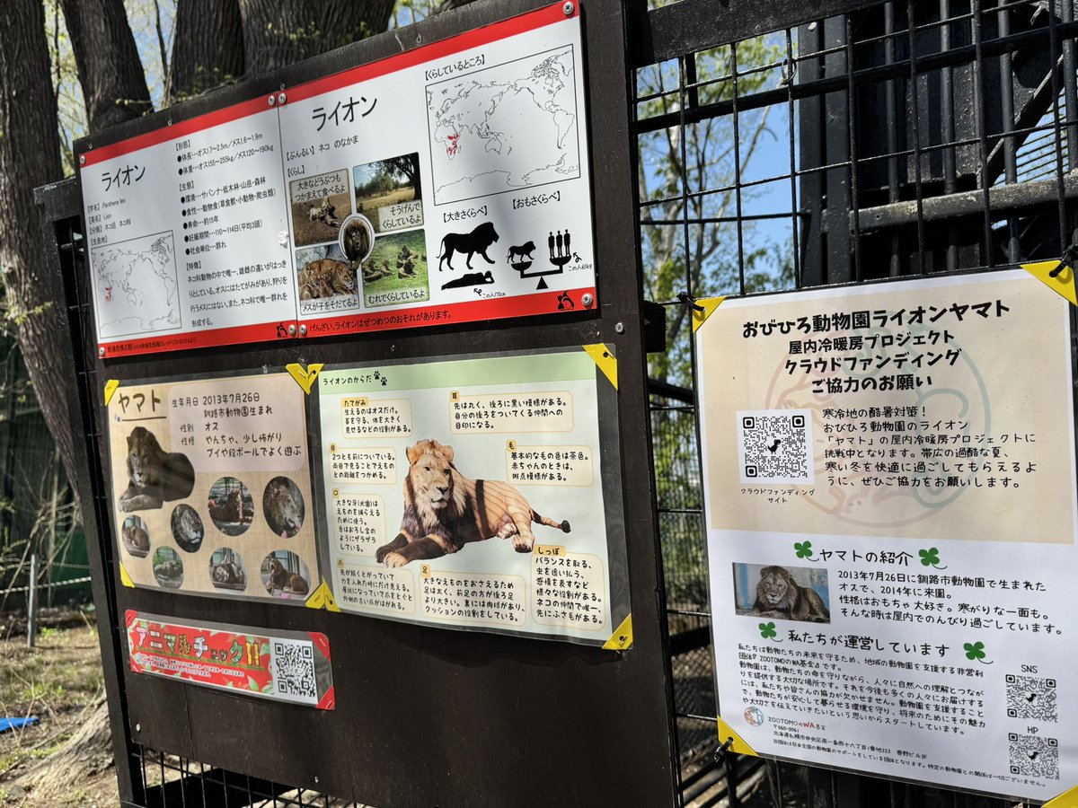 一般社団法人　ZOOTOMOのWA基金 tweet media