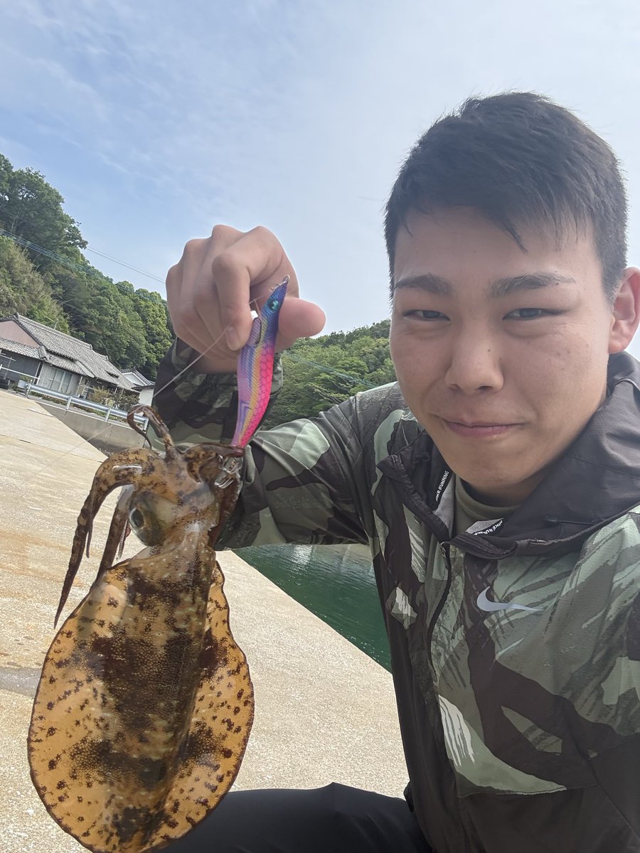 pokekanchan's tweet photo. 昨日の釣果🦑
すっかりエギングにハマってしまった！
コウイカは2キロ超えたど！ https://t.co/mJENNFTWS5