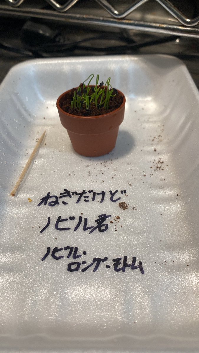 モリフォイ tweet media