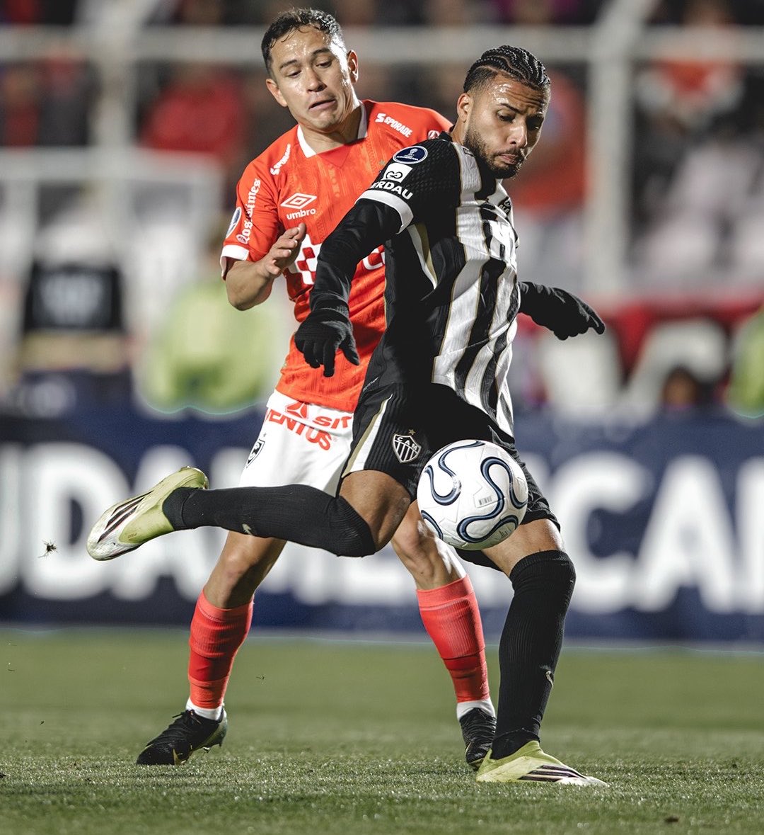 FALA, MASSA! 🐔 | Wander Lourenco tweet media