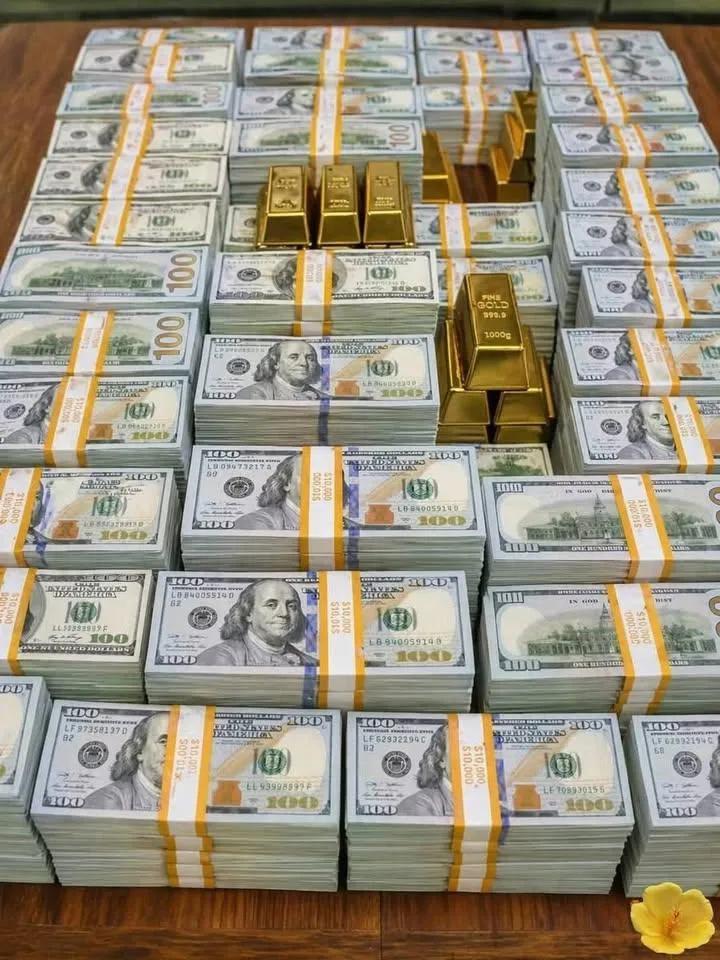 WealthyVibesOn's tweet photo. My wealth is growing every day. https://t.co/Vool1TUoMe
